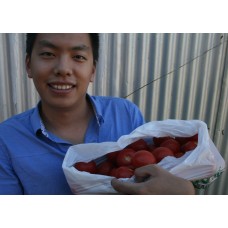 OUTDOOR TOMATOES  3KG Bag Katikati Grown